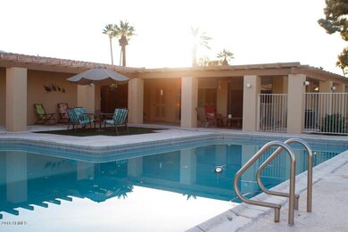 backyard2