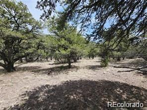 4584 Laidlaw, Fort Garland, CO 81133 - photo 6