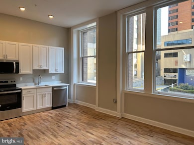 100 W Lexington St unit 305, Baltimore, MD 21201 - photo 6