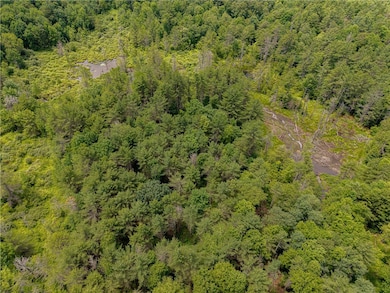 0 Sheff Rd, New Berlin, NY 13843 - photo 7