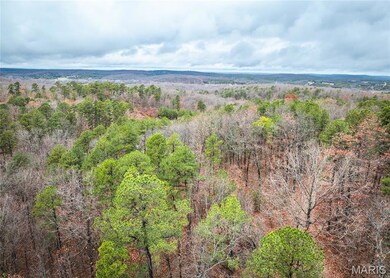 1950 Lake Forest Dr, Park Hills, MO 63601 - photo 6