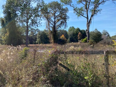 19690 NE 73rd Terrace, Citra, FL 32113 - photo 4