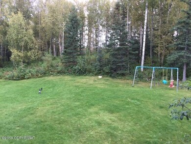 nice big back yard