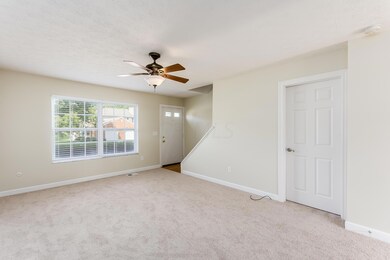 Large living room with brand new carpet