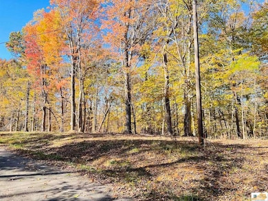 740 Jay Wheeler Rd, Columbia, KY 42728 - photo 5