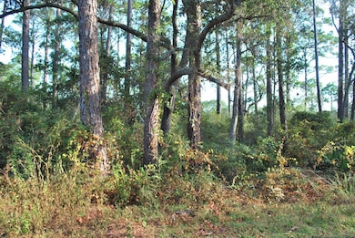 2976 Pristine Dr, Carrabelle, FL 32322 - photo 3