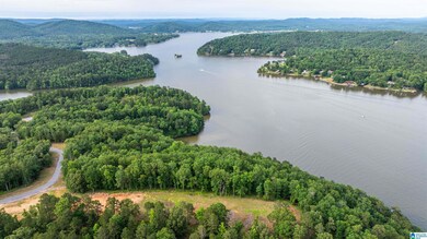 0 Will Black Hollow Rd unit 21424720, Ragland, AL 35131 - photo 6