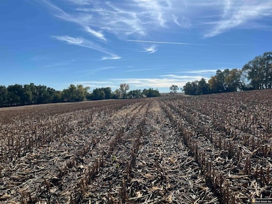 Parcel 5 Spring Saunders County Acreages County Rd, Yutan, NE 68073 - photo 4