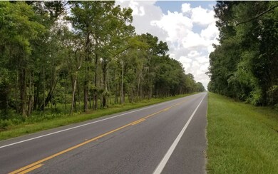 0 Bascom Norris Us-41 unit 101541, Lake City, FL 32055 - photo 3