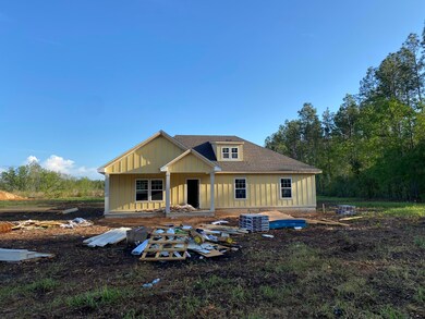 2136 Stonecypher Rd, Lucedale, MS 39452 - photo 2