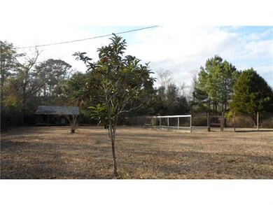 Backyard.