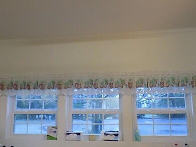 Windows from kitchen
