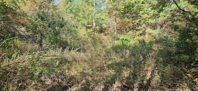 1100 E Bard Rd, Muskegon, MI 49445 - photo 7