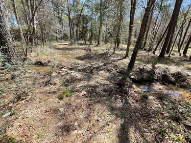 TBD2 Dan Cir, Magnolia, TX 77355 - photo 4