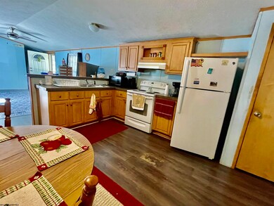 50 Boswell St, Tunnelton, WV 26444 - photo 2