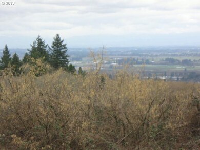 18320 NE Fairview Dr, Dundee, OR 97115 - photo 3