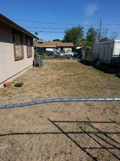 backyard 2