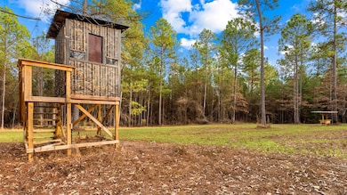 298 Georgia 127, Rupert, GA 31081 - photo 3