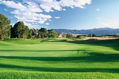 Powder Horn - Stag #2 Hole