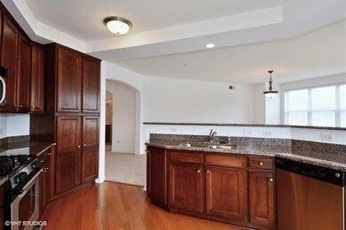 104 E 11th Ave unit 305, Naperville, IL 60563 - photo 4