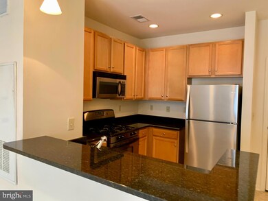 Halstead at The Metro unit 318, Fairfax, VA 22031 - photo 7