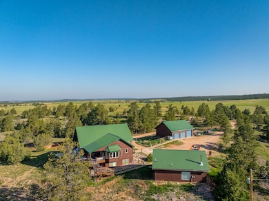 11431 Wrangler Rd, Custer, SD 57730 - photo 3