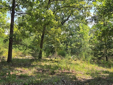 000 Highway 181, Cabool, MO 65689 - photo 5