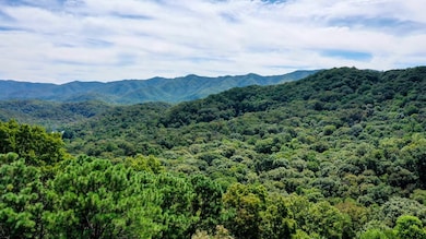 6 Black Rock Trail, Andrews, NC 28901 - photo 5