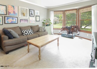 264 Oakwood Ct, Ionia, MI 48846 - photo 7