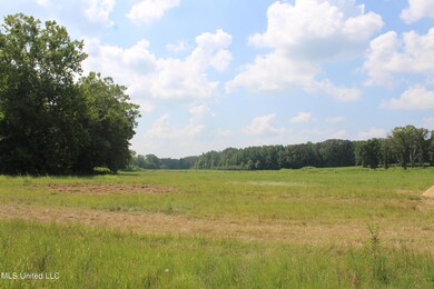 IMG_4303