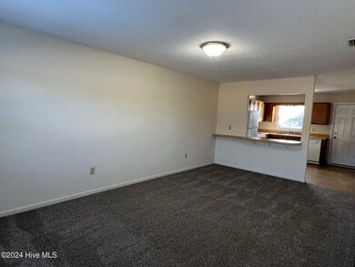 217 Appaloosa Dr, Jacksonville, NC 28540 - photo 2