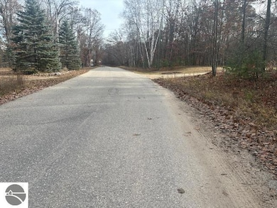 TBD W Shore Dr unit 122, Weidman, MI 48893 - photo 4