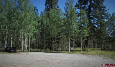 200 Hazel Lake Dr, Cimarron, CO 81220 - photo 5