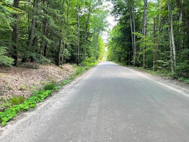 0 Fernwood Farms Rd unit 4985321, Canaan, NH 03741 - photo 3