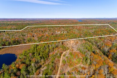 Property Lines - Lot #17 (MAPS)