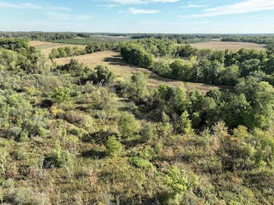 VL Hoffman Street Lot#wp001 St, Vandalia, MI 49095 - photo 2