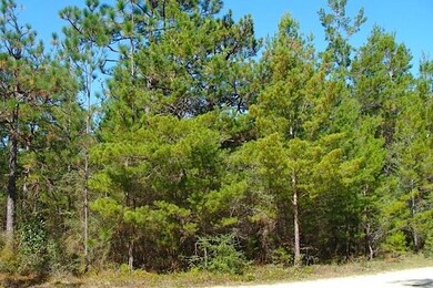 Wooded 5 Acres