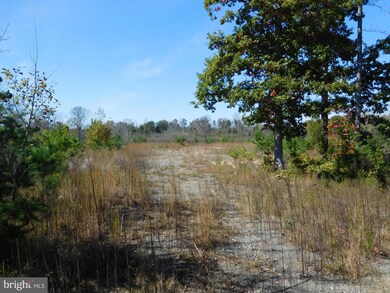 0 Tommy Trail unit 1000546207, Louisa, VA 23093 - photo 3