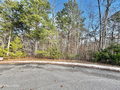 0 Divot Place unit 1323315, Tazewell, TN 37879 - photo 5