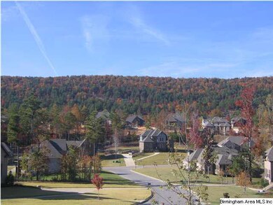 Amazing View of Double Oak Mountain!