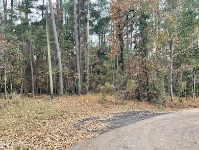 No Old Fannin Rd, Jackson, MS 39232 - photo 7