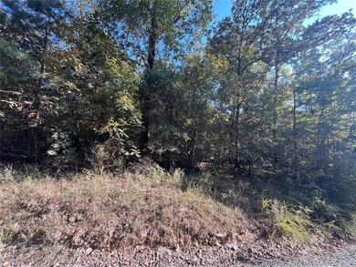 0 Tbd Sailfish Rd, Hochatown, OK 74728 - photo 6