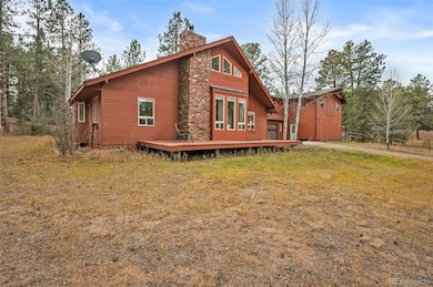 20202 Spring Creek Trail, Buffalo Creek, CO 80425 - photo 5