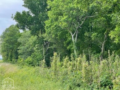 73 Highway 228, Bono, AR 72416 - photo 7