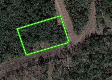 4614 Cottonwood Run, Alvin, TX 77511 - photo 2