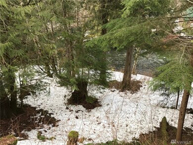 58611 Lumpy Ln E, Enumclaw, WA 98022 - photo 7