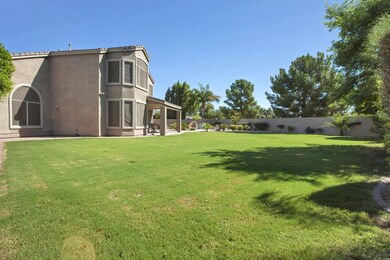 Spacious Backyard