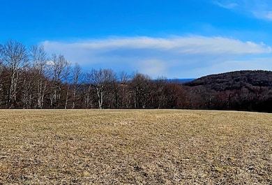 0 Stump Pond Rd, Callicoon, NY 12724 - photo 3