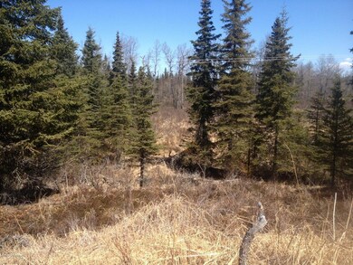 Looking towards river from hillside
