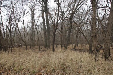 169 335th St, Osawatomie, KS 66064 - photo 5